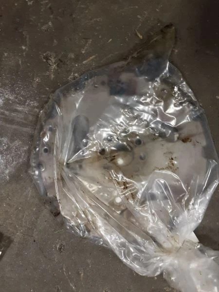 Маховик/гибкая пластина 3,6 л подходит для 11-23 300 278074 - Изображение 2 из 2