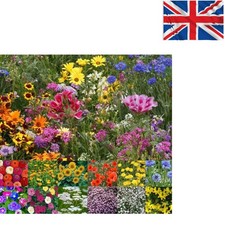 Wildflower Seeds Mix for Bee & Butterfly Gardens - 20g Natural Blend 499.50 per kilo