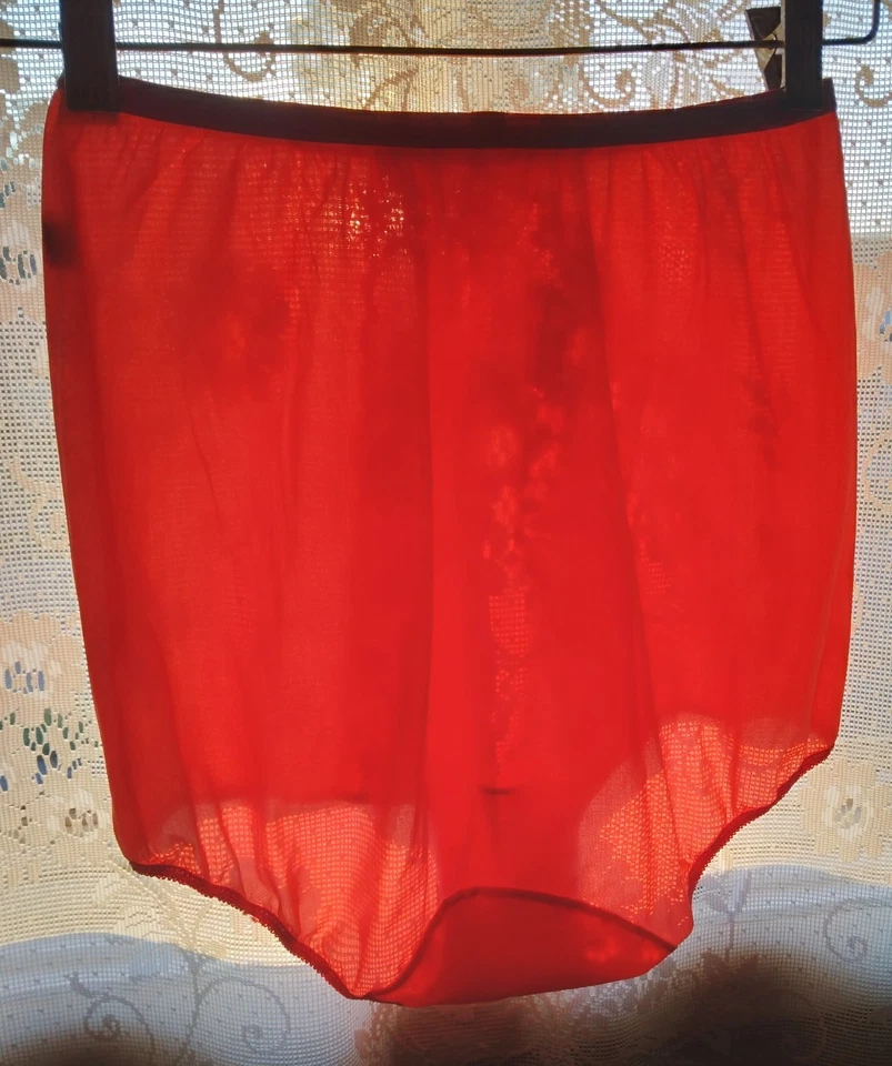 Bragas vintage Vanity Fair tricot sedoso nailon y encaje talla 6 Foto 2 de 4