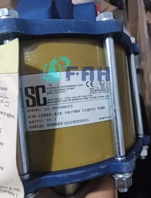  10-6000W020  SC Supercharger