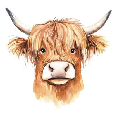 XXL 30X30 Car Sticker Funny Highland Cow Decal