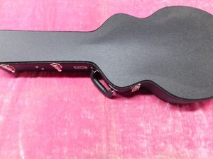 Epiphone Casino Case | eBay