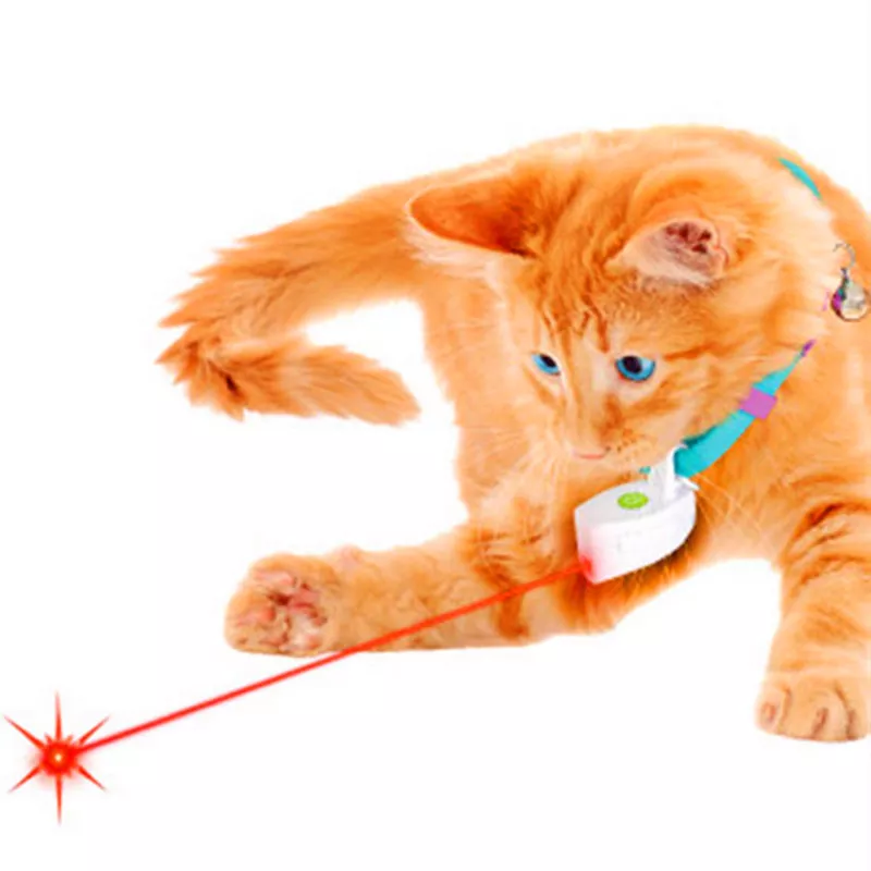 Cats and cheap laser lights