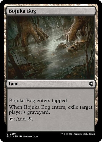 MTG Bojuka Bog Foil 英語版 s-l500.jpg