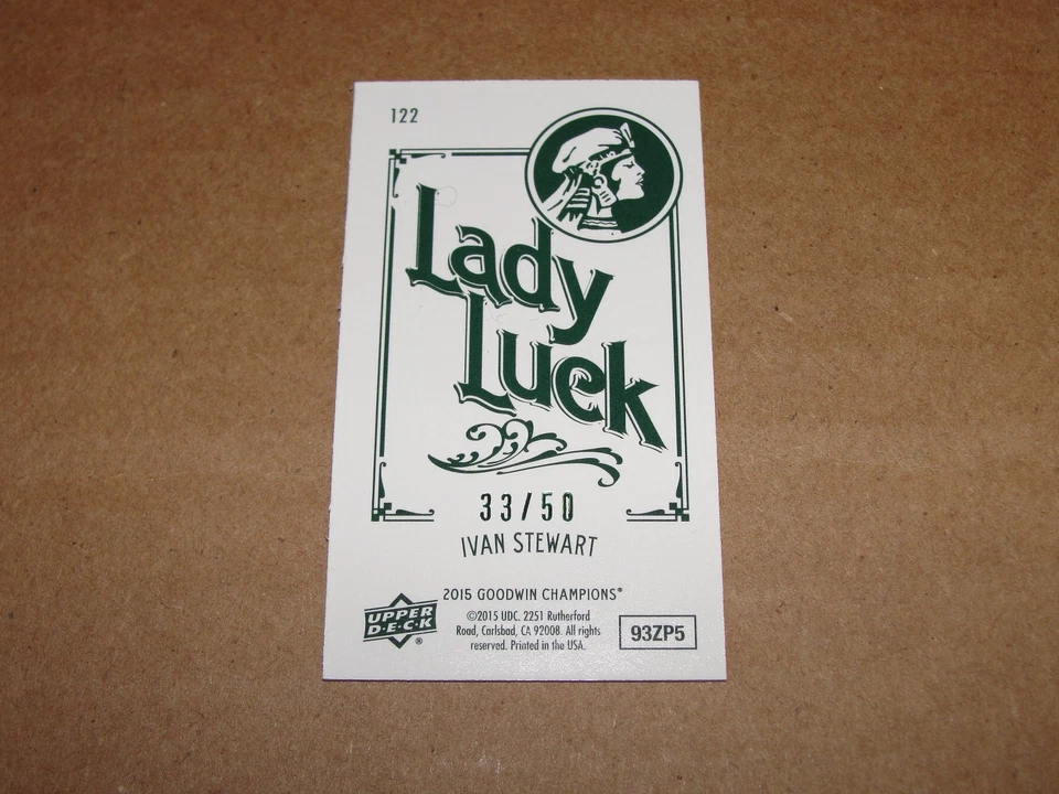 2015 Goodwin Champions IVAN STEWART #122 Lady Luck Mini/50 Ironman BAJA 500 Race - Image 2 of 2