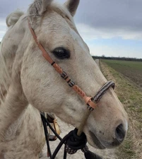 40 Plait Braided Bosal, Natural/Black Rawhide Bosal, 12-inch High Quality Bosal.
