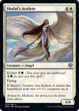Shalai's Acolyte NM Reg Uncommon