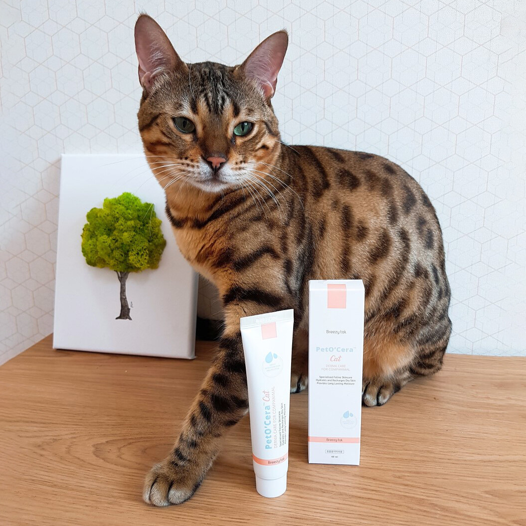 PetO'Cera] Cats Derma Care Itchy Skin Relief Treatment Cream for