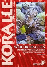 Daniel Knop | Weichkorallen im Meerwasseraqua...