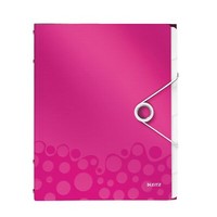 Leitz Ordnungsmappe Wow, Din A4, Pp, 6 F„Cher, Pink-Metallic