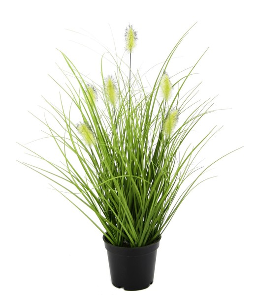 KüNstliches Fuchsschwanzgras Im Topf Kunstpflanze Ziergras Deko Grasarrangement-image