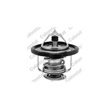 Thermostat Opel ANTARA