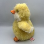 Picture 4 of 6