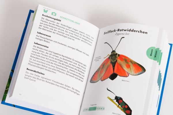 Thumbnail - Anaconda Taschenführer Insekten. 70 Arten Entdecken Und Bestimmen