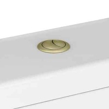 Brushed Gold Dual Flush Button And Rods 38mm Regular Size