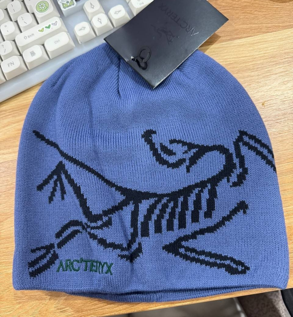 Arc'teryx Bird Head Toque Beanie Lavender Wool Unisex Winter Ski Snow Hat - NWT