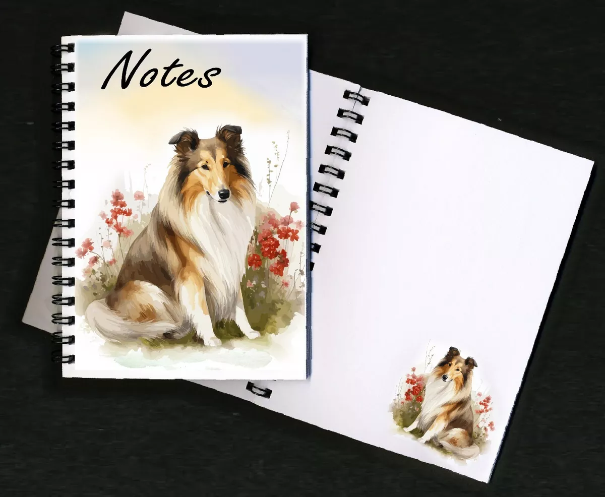 Small rough collie 2025