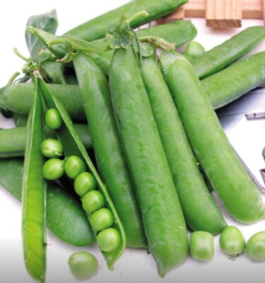 20+Super Sugar Snap Pea Seeds Green Sweet pea Garden Pea Heirloom Fresh ...