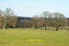 Photo 12x8 Fields in the Woods, Near Roydon Manor, Hampshire Sandy Down An c2010