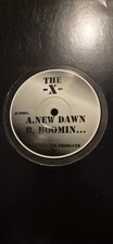 The X - New Dawn - UK 12" Vinyl - 1995 - Jump Up