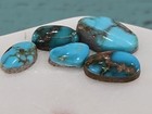 Super Rare Natural Nevada Gem High Grade Turquoise Lot Cabochon 12 Carats  — photo 6