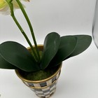Bild 8 von 12