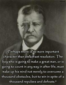 26th US President THEODORE 'TEDDY' ROOSEVELT Glossy 8x10 Photo Print Poster 