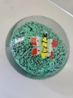 Murano Glass Aquarium Paper Weight With Fish