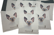 8 Siamese Cat 8 X 8 inch Fabric Quilt Squares or Pillows