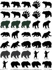 25 BEAR SILHOUETTES EMBROIDERY MACHINE DESIGNS PES HUS JEF VP3 DST EXP USB