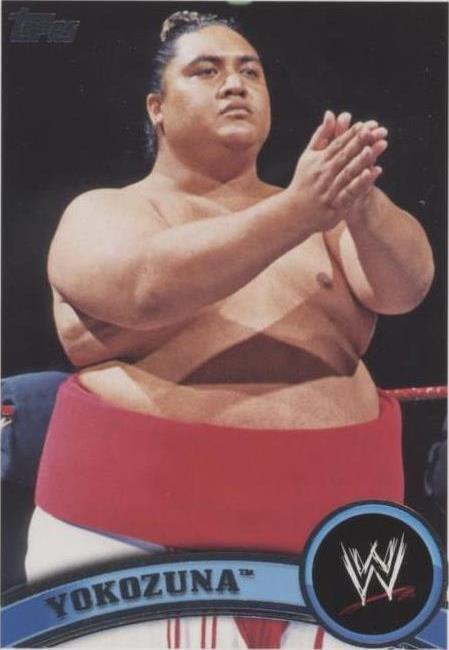 Yokozuna Trading Cards for sale | eBay