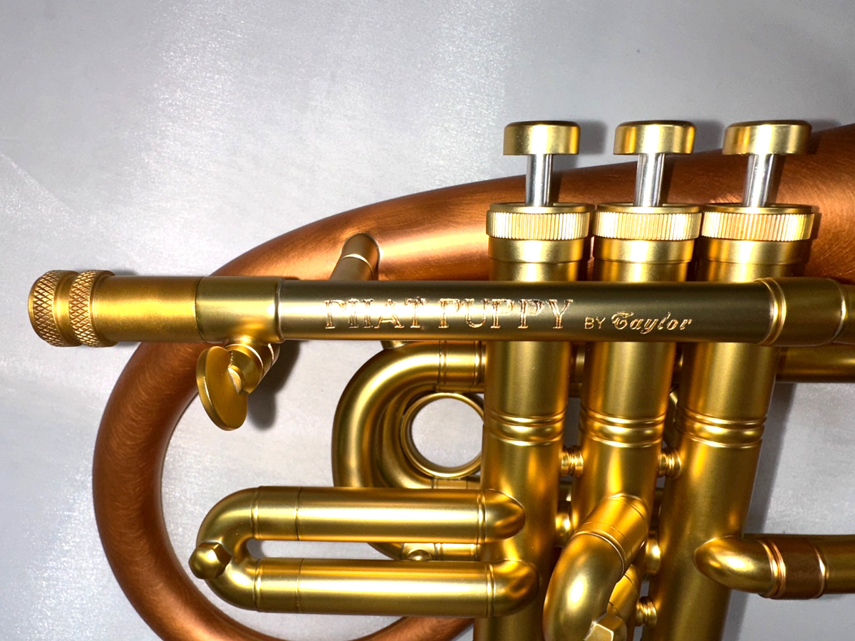 Pocket Flugelhorn / Taylor Phat Puppy - 2026 Satin/Polished Taylor 