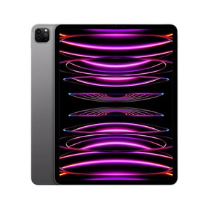 Apple iPad Pro 第6世代 M2 512GB Celler 訳あり iPad Pro 6th Generation 512GB | eBay