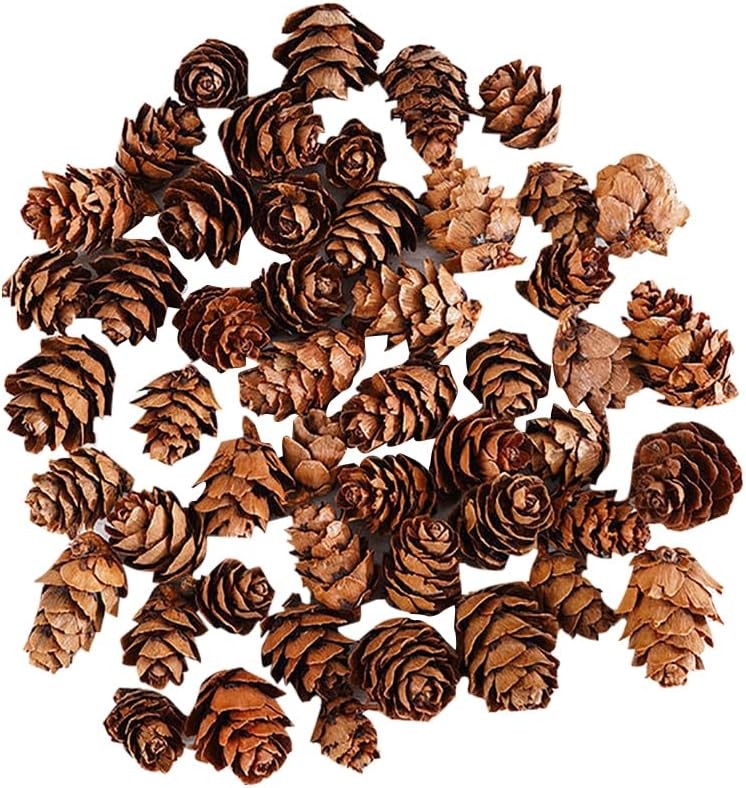 100 Pcs Christmas Pine Cones Small Natural Pine Cones Winter Pinecone Ornaments