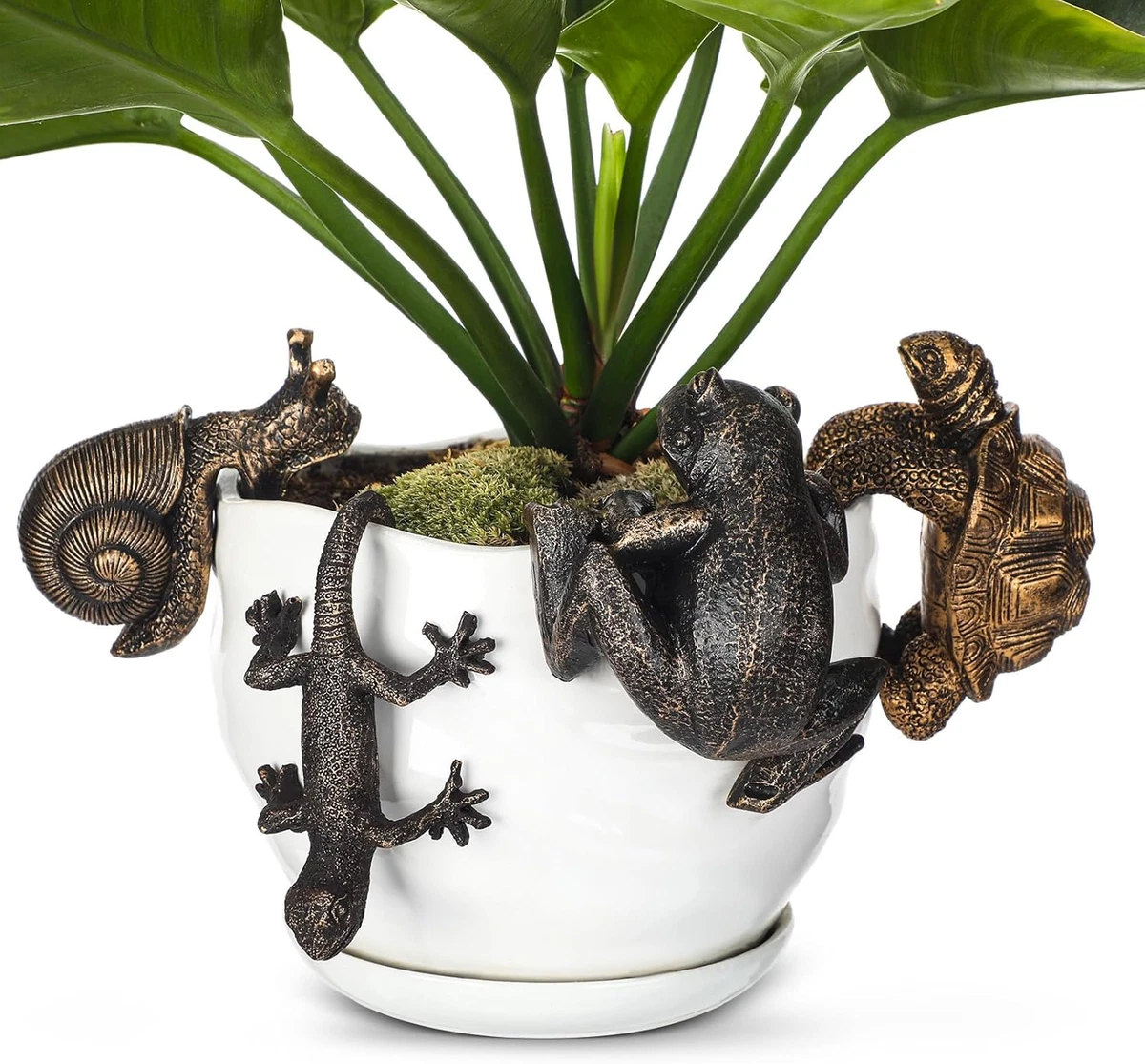Hagedis Planter Hugger | Planter Hugger Bloempot Hars Beeldje