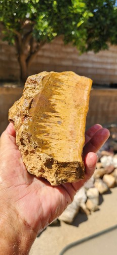 Mojave Desert Faced Premium Sagenite Rough 6"X4"X3" 4.2 Pounds See Video - Bild 4 von 7