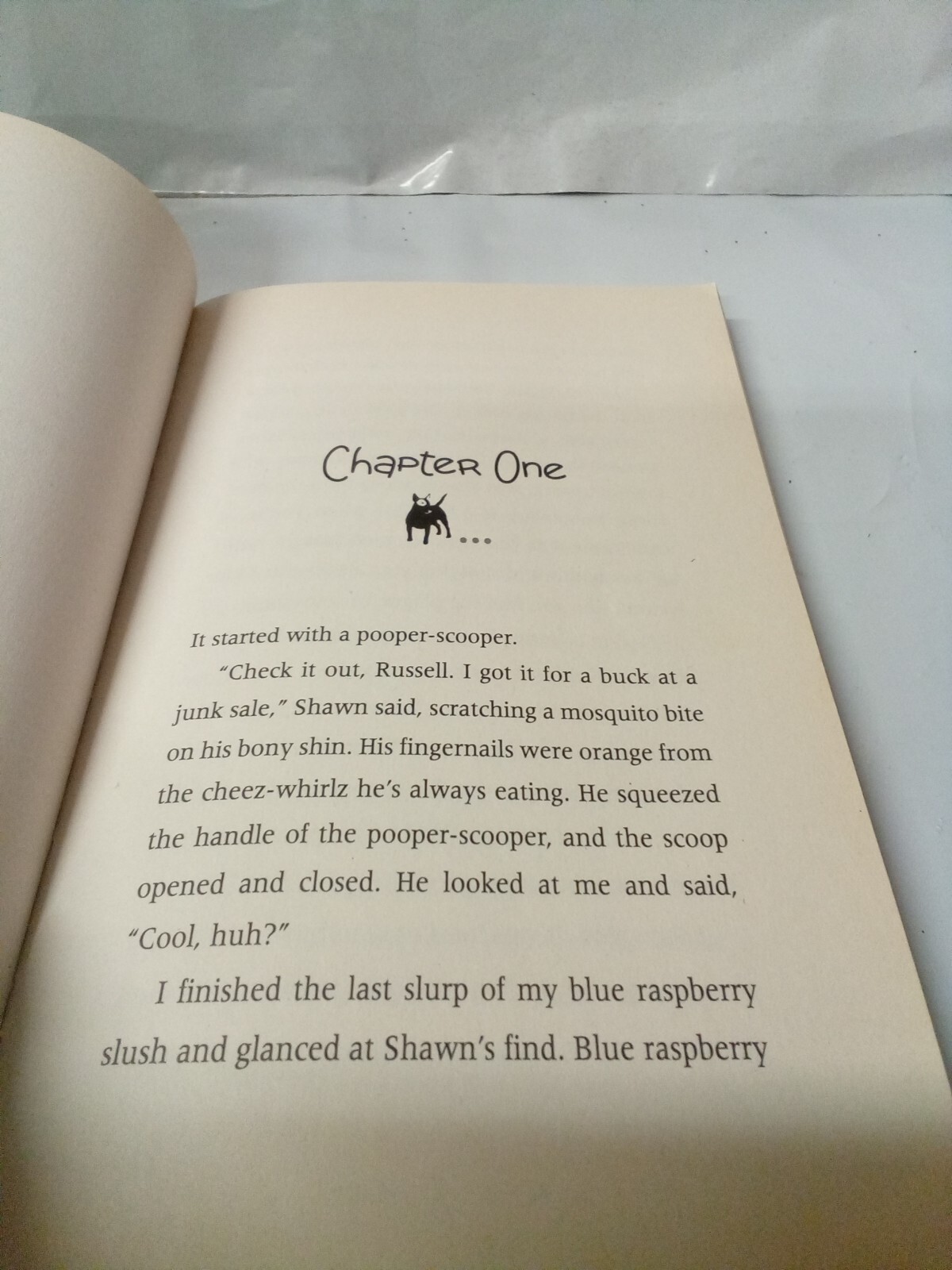 The PS Brothers - Paperback By Boelts, Maribeth - GOOD