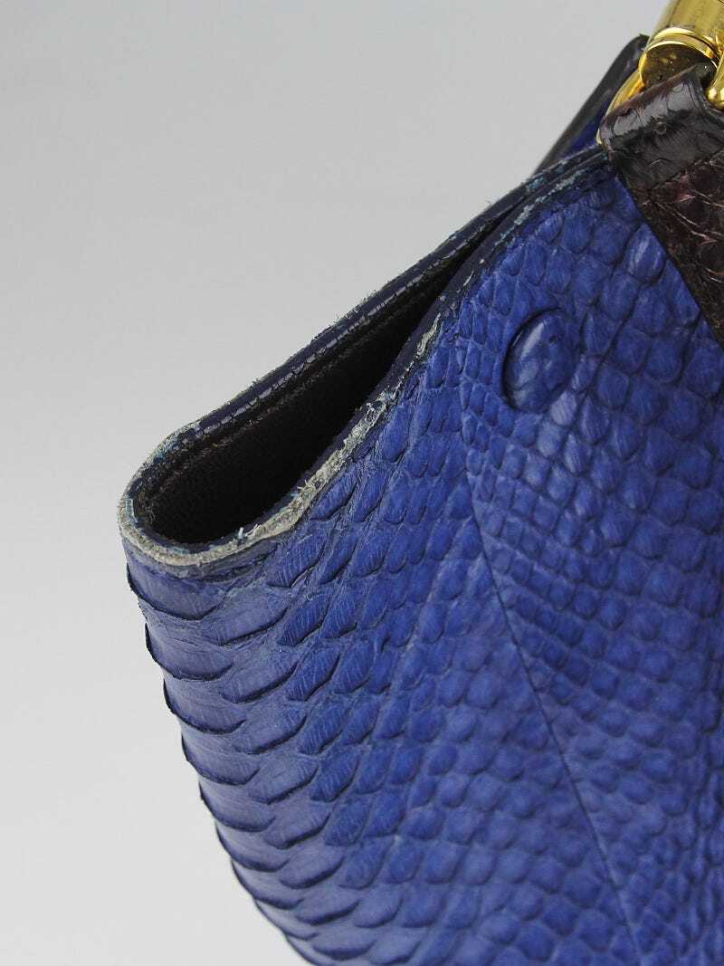 Celine Brown/Blue Python and Calfskin Leather Sma… - image 6