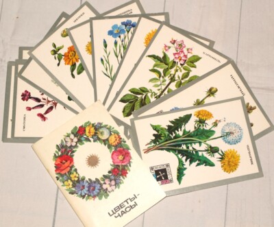 Vintage floral cards, Set of 16 Botanical illustrations, Flowers clock Botanical