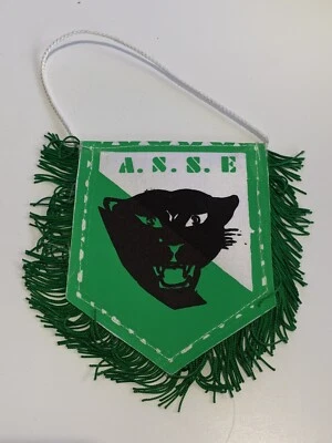 ASSE Saint Etienne rare ancien fanion vintage football foot pennant wimpel - Photo 1/2