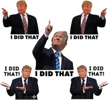 100pc Trump I Did That Stickers, Gas Pump Stickers, High Quality Vinyl