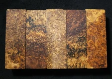 Stabilized Amboyna Burl Blanks - Turning/Knife Scale Blanks (2 × 6 × 1)