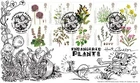 GB 2009 ENDANGERED PLANTS, Scarce Signed Phil Stamp Cover No.151 - No: 3 of 20