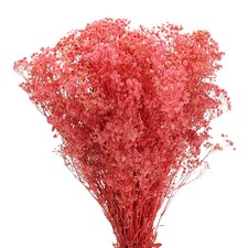 Dried Baby's Breath Flowers 17 Inch Pink Natural Baby's Breath Branches 2 Pcs