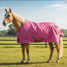 WHITAKER 0G STD LIGHTWEIGHT HORSE PONY TURNOUT RUG PINK/GREY *NEW* ALL SIZES