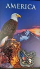 2026 American Colorized Eagle 1gram .999 Fine Silver Encapsulated W/COA Card