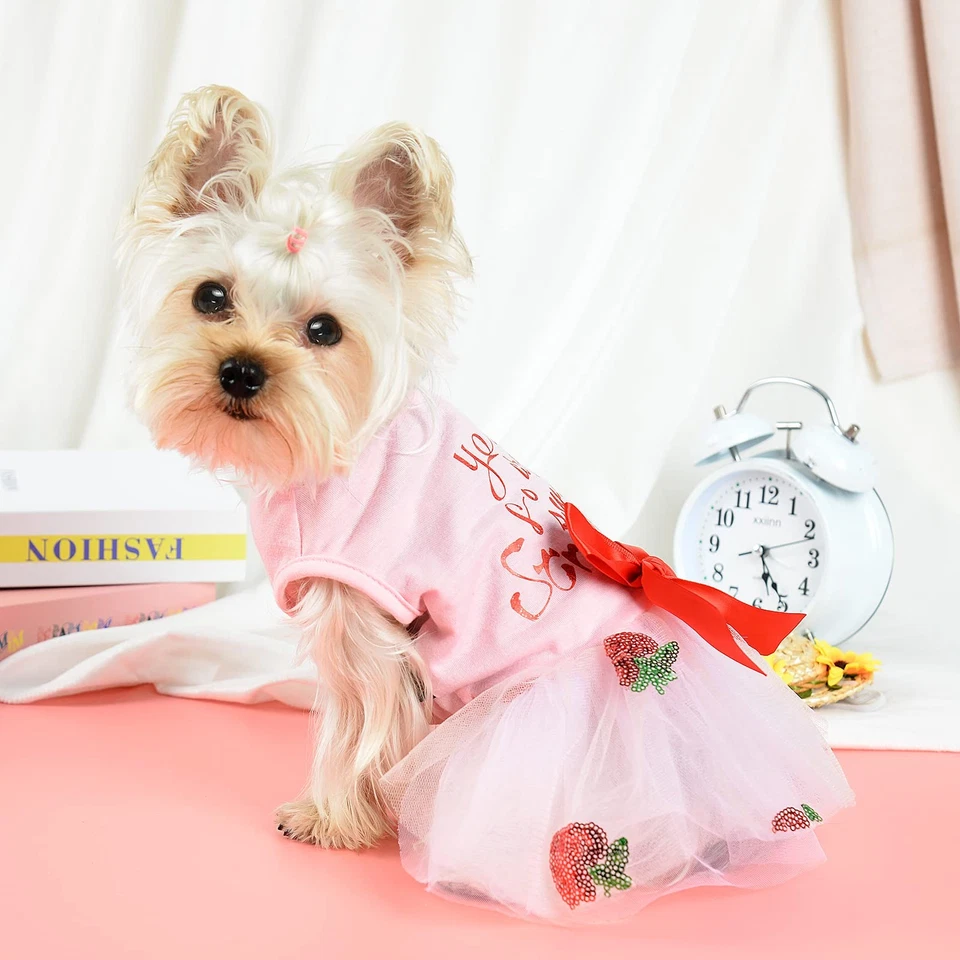 Pequeño Mascota Perro Gato Tutú Vestido de Encaje Cachorro Ballet Falda Princesa Ropa Foto 2 de 4