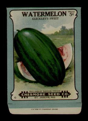 1910's WATERMELON LITHO SEED PACKET 5 CENTS-CHESMORE SEED CO., ST. JOSEPH, MO 