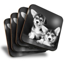 Set of 4 Square Coasters - BW - Cute Corgi Puppies Puppy Dog  #38653