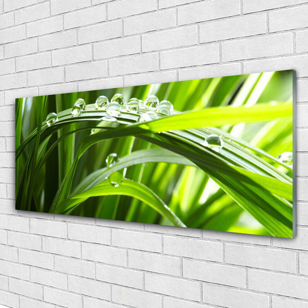 Tableau en verre 125x50 cm Nature avec herbe et gouttes d'eau pour décoration murale